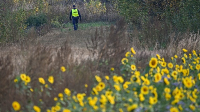 Służby sprawdzają, czy pod Lublinem spadł niezidentyfikowany obiekt. Zgłoszenia o jego pojawieniu się wpłynęły w nocy od mieszkańców, zarejestrowano też sygnał radiolokacyjny.