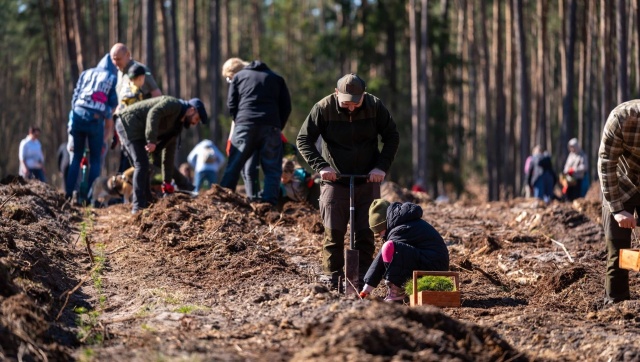 Pomorze Zachodnie bogatsze o 100 tysięcy nowych drzew. To efekt ekologicznej akcji Urzędu Marszałkowskiego i Lasów Państwowych, w którą przez dwa lata zaangażowało się ponad 4,5 tysiąca uczniów ze 104 szkół w regionie.