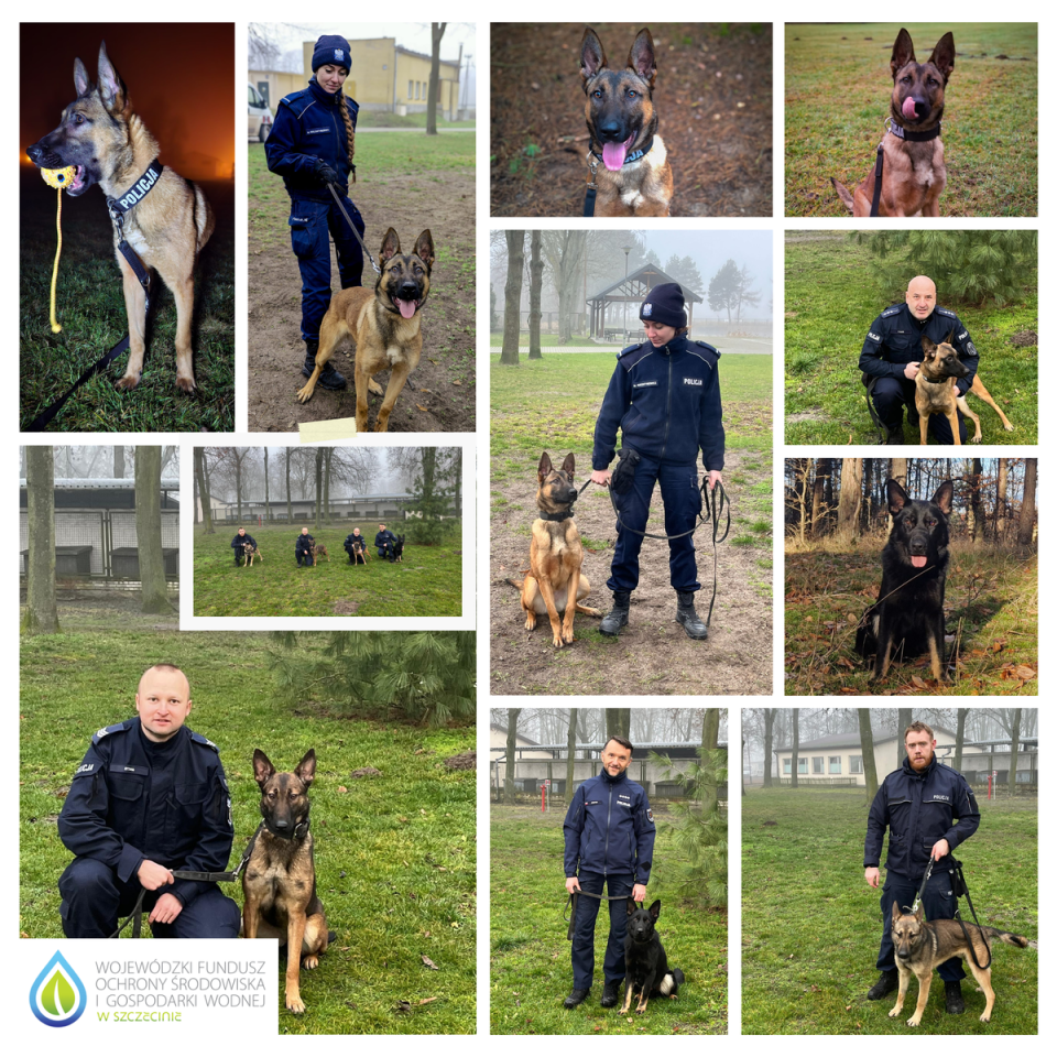 Wyszkolone psy pomogą w zwalczaniu przestępców