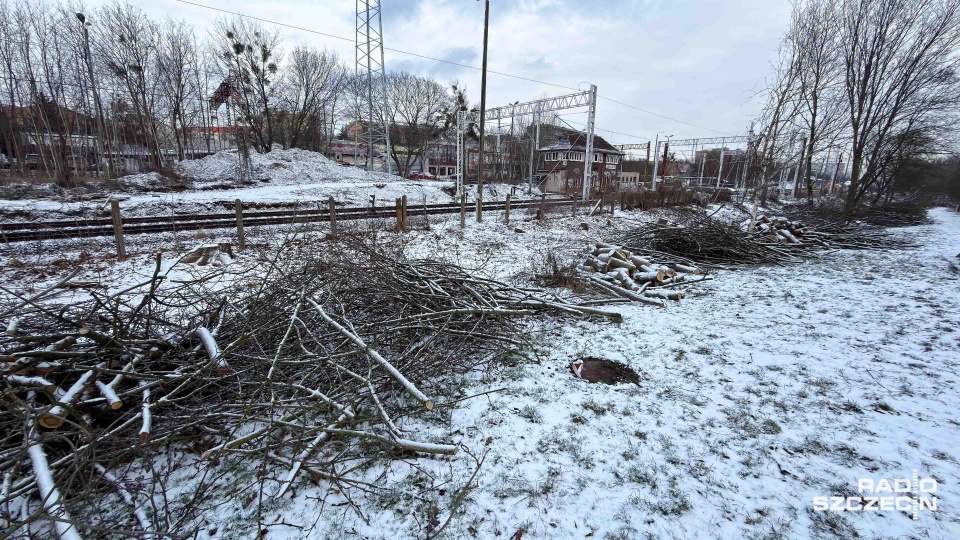 Fot. Robert Stachnik [Radio Szczecin]