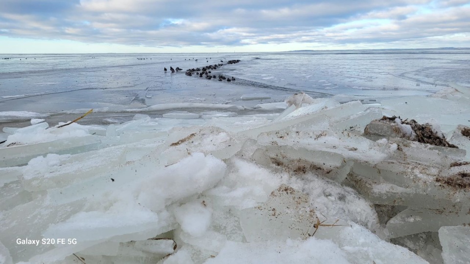 Fot. Tomasz Domański
