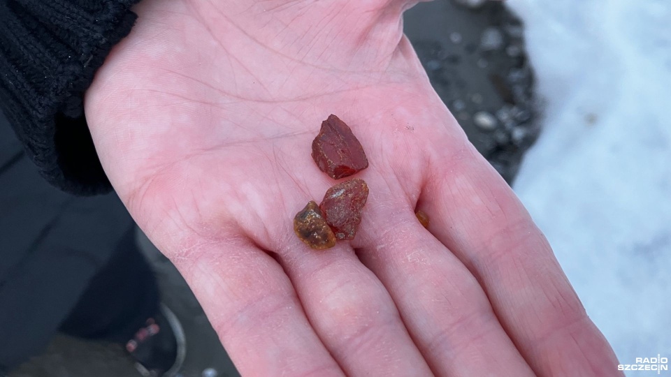 Bursztyny na świnoujskiej plaży