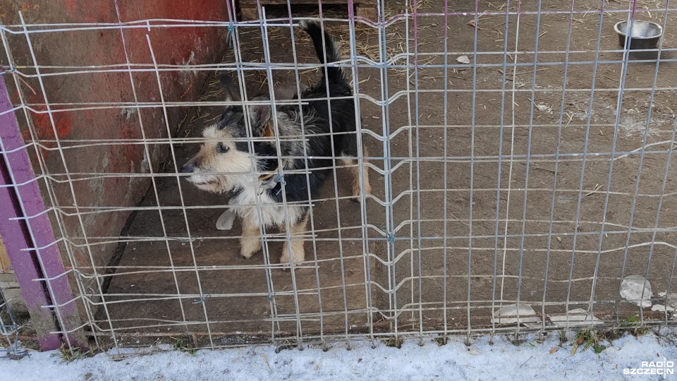 Fot. Przemysław Polanin [Radio Szczecin]