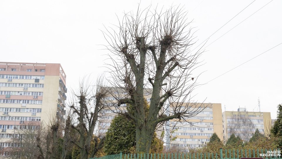Fot. Kamila Kozioł [Radio Szczecin]