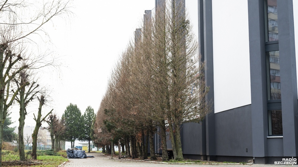Fot. Kamila Kozioł [Radio Szczecin]