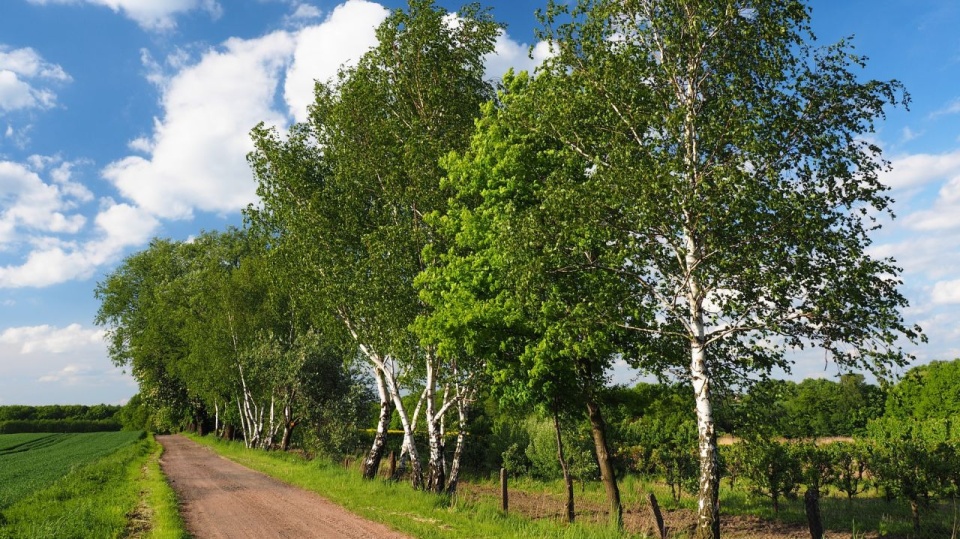 XIV edycja konkursu "Sołtys Roku"