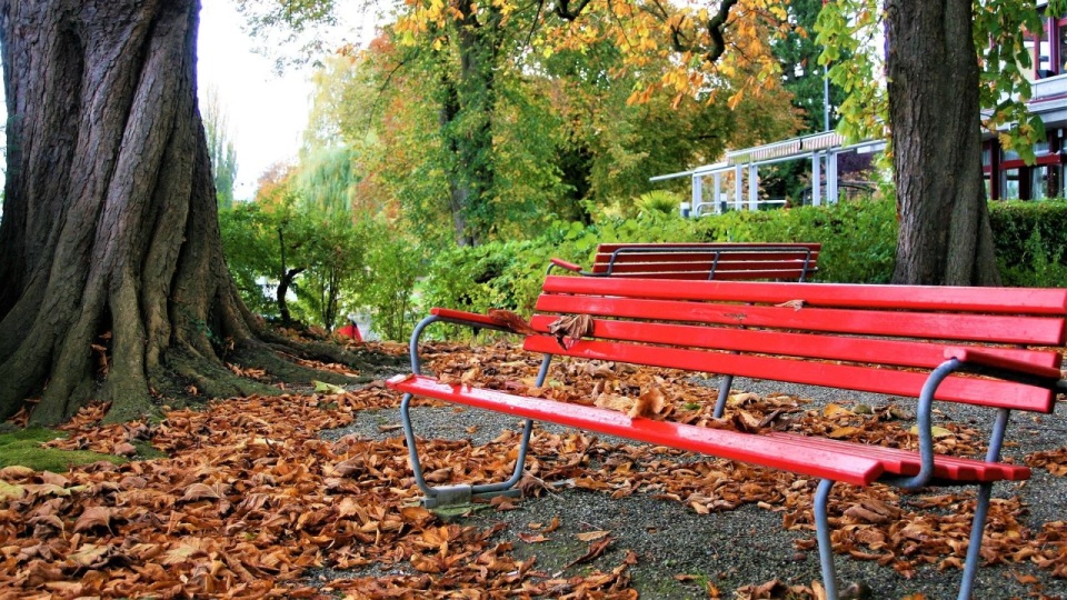 Pół miliona złotych dla rad osiedli z regionu