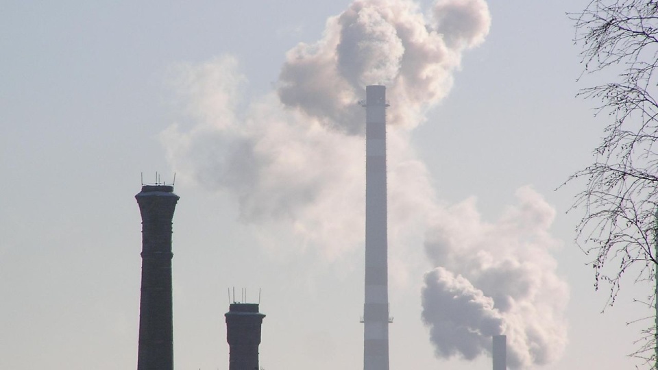 Bolt Tchibo i Zara - na cenzurowanym