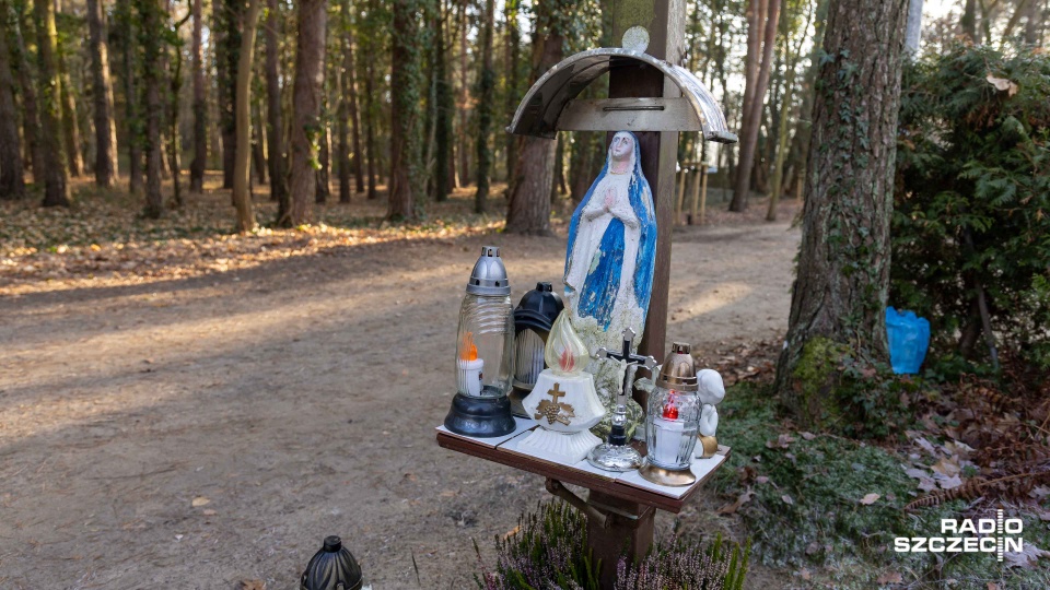 Mieszkańcy Płoni walczą o powiększenie lokalnego cmentarza [ZDJĘCIA]