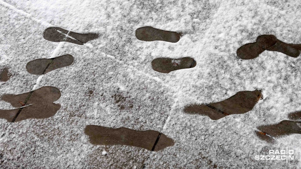 Fot. Robert Stachnik [Radio Szczecin]