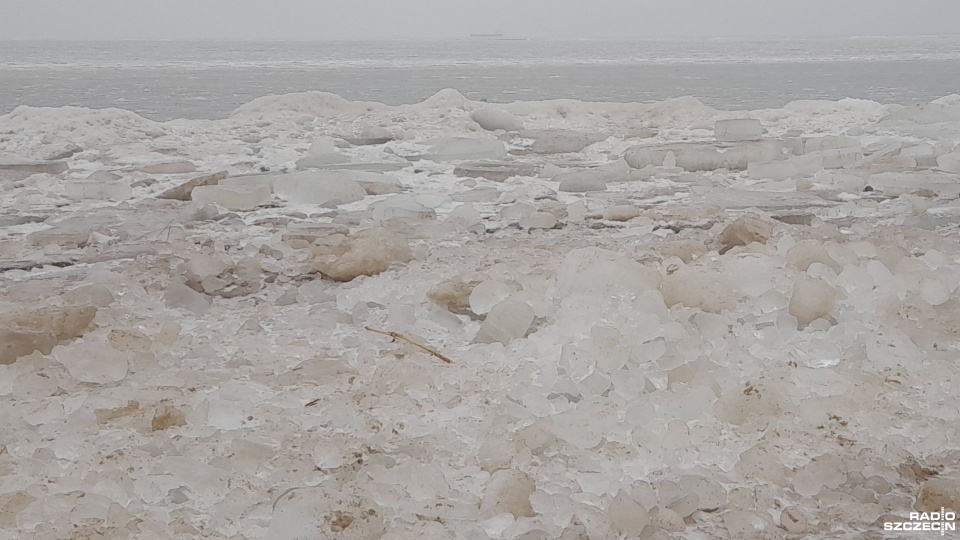 Fot. Joanna Maraszek [Radio Szczecin]