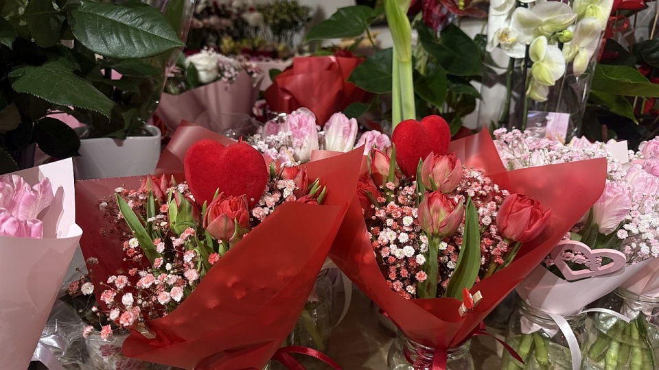 Fot. Anna Arabska-Szmajdzińska [Radio Szczecin]