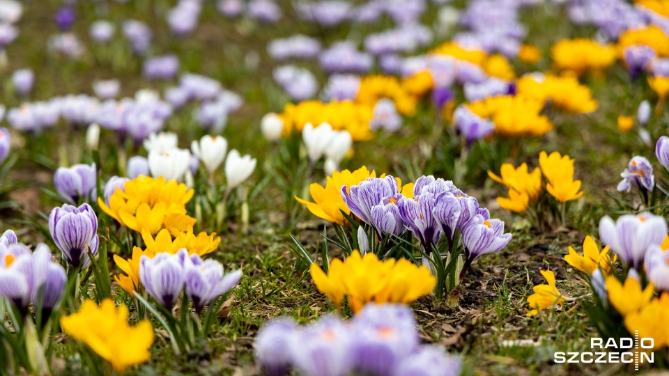 Zima w odwrocie? Eksperci jednocznacznie