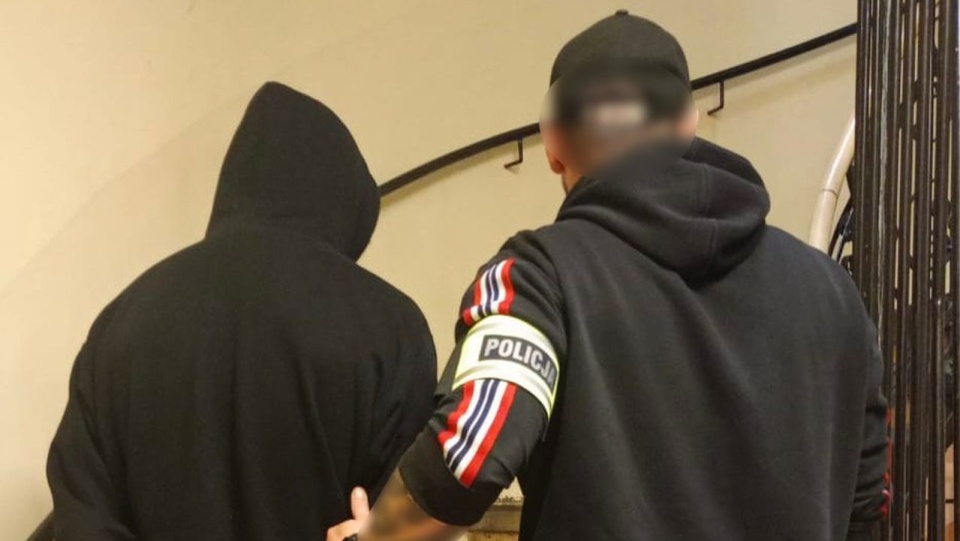 Kraków: sprawca brutalnego okaleczenia królika zatrzymany