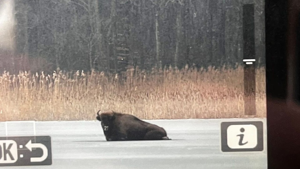 fot. Komenda Wojewódzka Państwowej Straży Pożarnej w Szczecinie/ Facebook