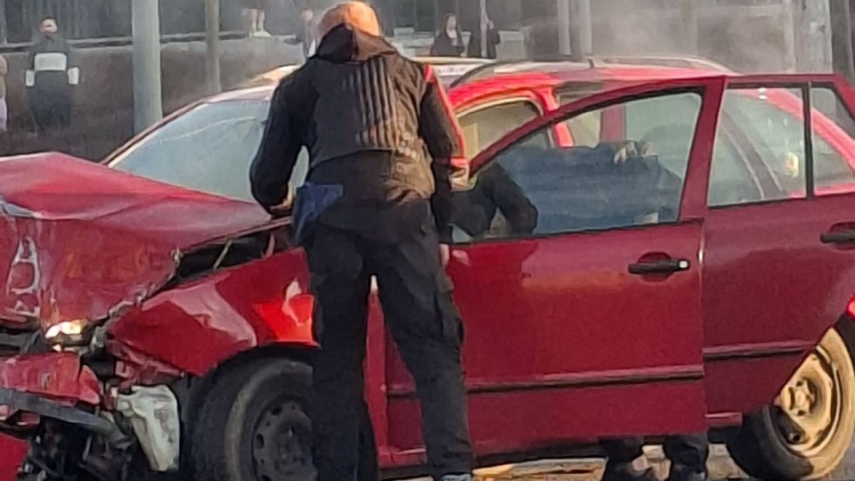 Fot. Mysza Laila Nabhani / MG-E