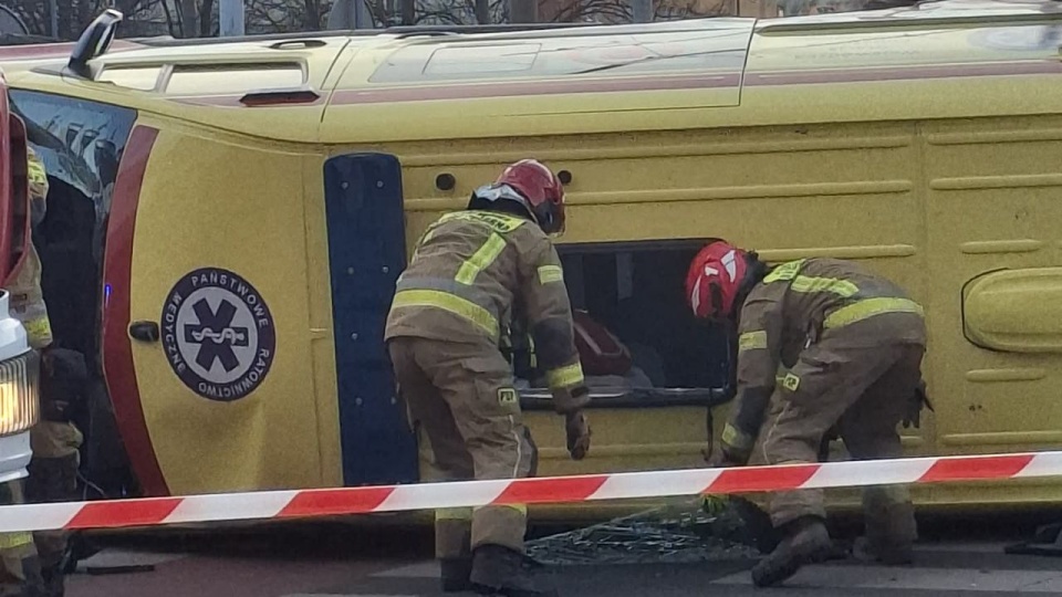 Fot. Mysza Laila Nabhani / MG-E