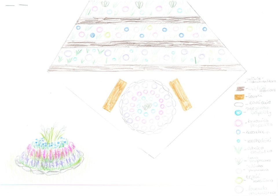 fot. Rzecznik prasowy Miasta Szczecin