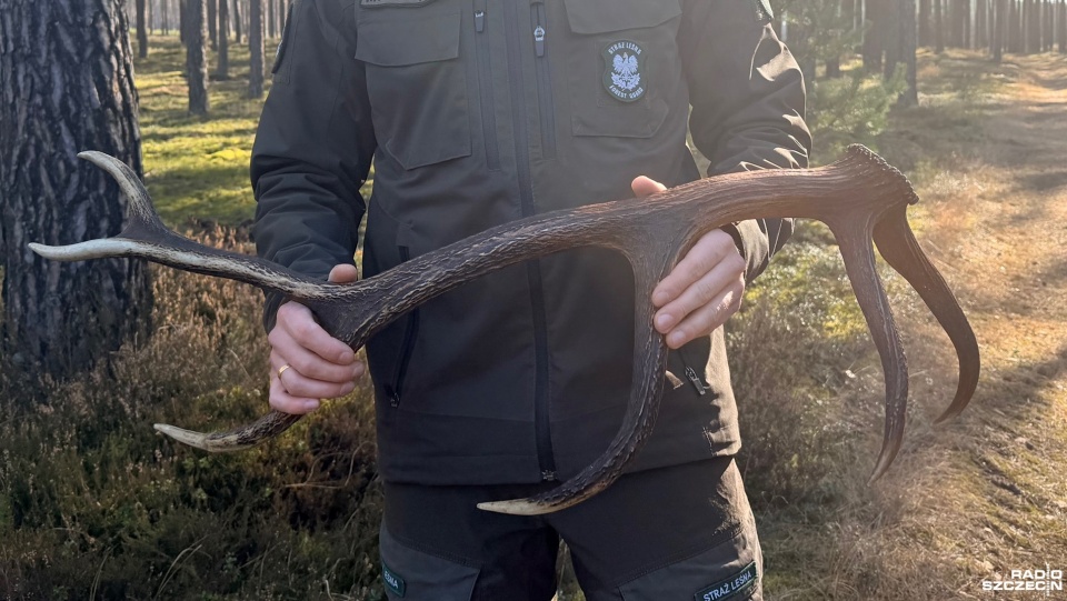 Fot. Weronika Łyczywek [Radio Szczecin]