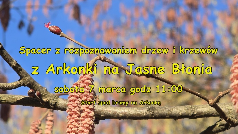 Pierwszy spacer z przyrodnikiem w tym roku