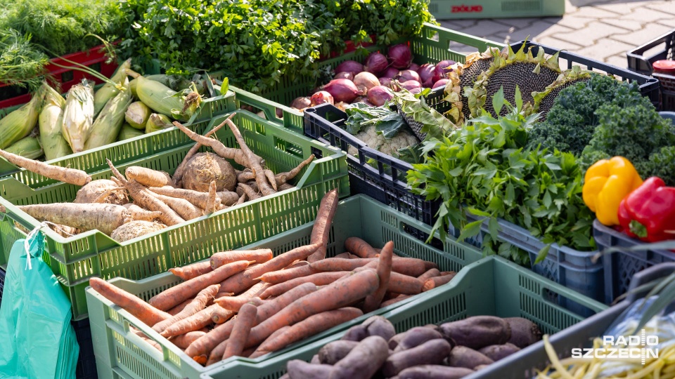 Polscy rolnicy obawiają się konsekwencji wojny na Bliskim Wschodzie