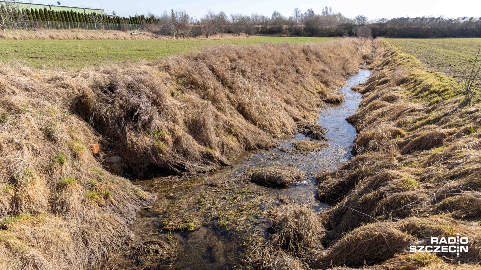Mieszkańcy Warzymic skarżą się na fetor [ZDJĘCIA]