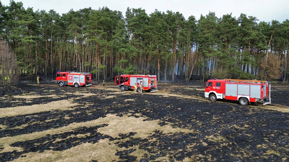 Spłonęło 12 hektarów nieużytków i lasu