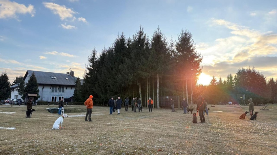 Wyszkolone psy na tropie padłych dzików