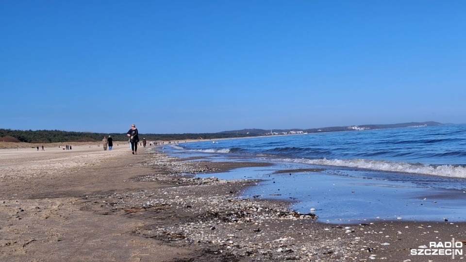 Fot. Joanna Maraszek [Radio Szczecin]