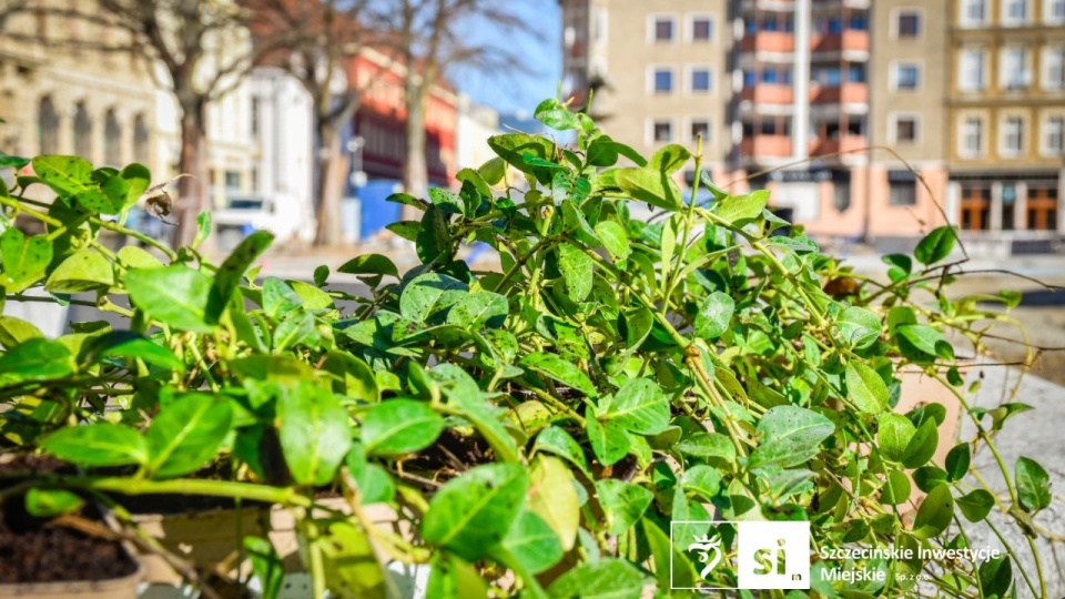 Fot. Szczecińskie inwestycje Miejskie