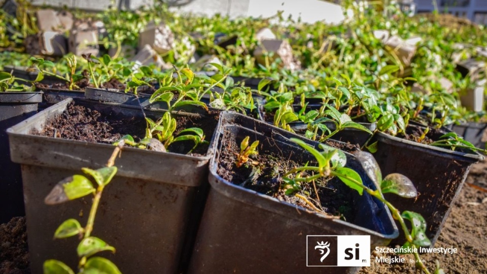 Fot. Szczecińskie inwestycje Miejskie