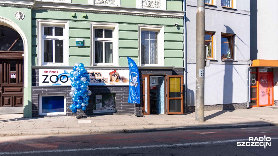 Sklep, w który wjechał tramwaj, znów otwarty. "Ogromne straty" [WIDEO, ZDJĘCIA]