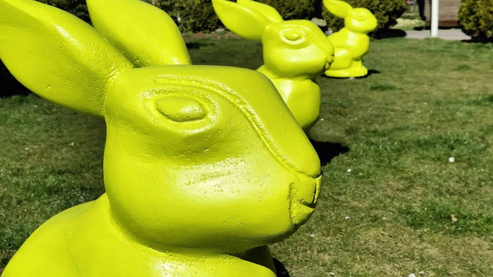 Fot. Przemysław Polanin [Radio Szczecin]