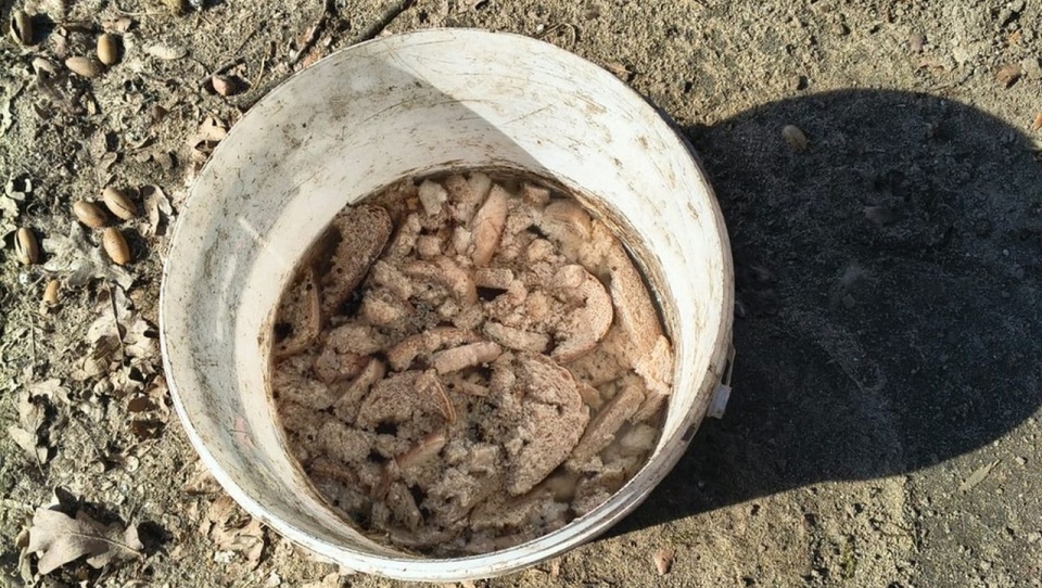 fot. targard.policja.gov.pl