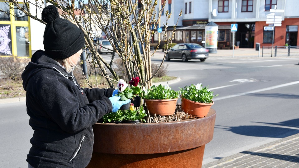 Świnoujście poczuło wiosnę
