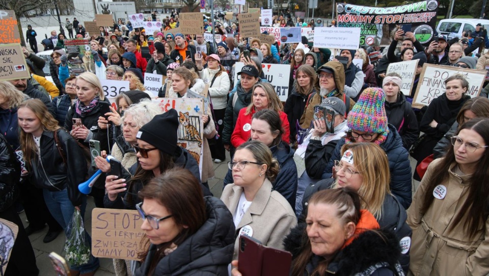 Przed Sejmem trwa demonstracja obrońców zwierząt [ZDJĘCIA]