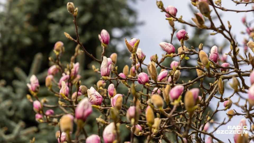 Nie będzie białej Wielkanocy, ale ciepło też nie będzie [ZDJĘCIA]