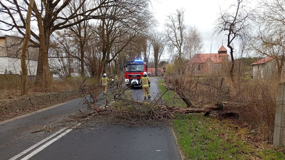 Wiatr się rozhulał - strażacy w Zachodniopomorskiem interweniowali prawie 100 razy