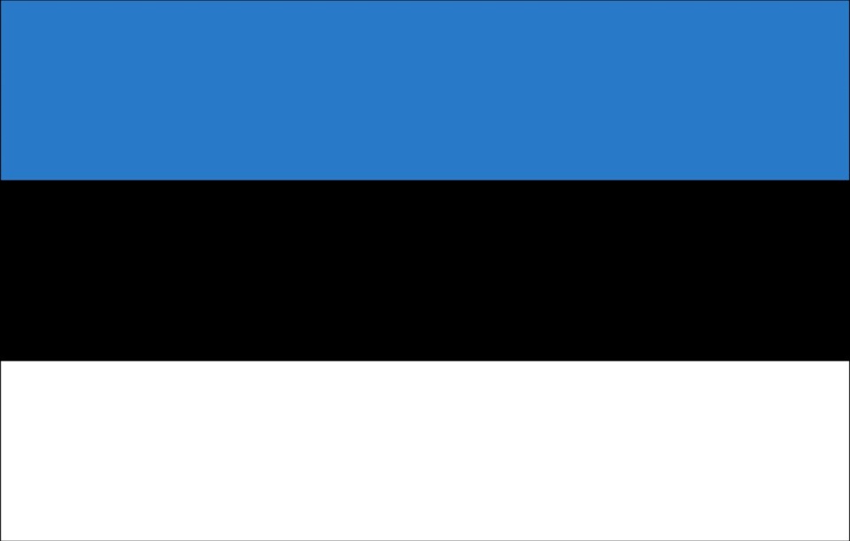 Estonia zaleciła Ukrainie wybrane innych tras przelotu dronów