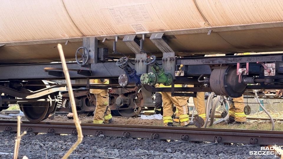 Fot. Weronika Łyczywek [Radio Szczecin]