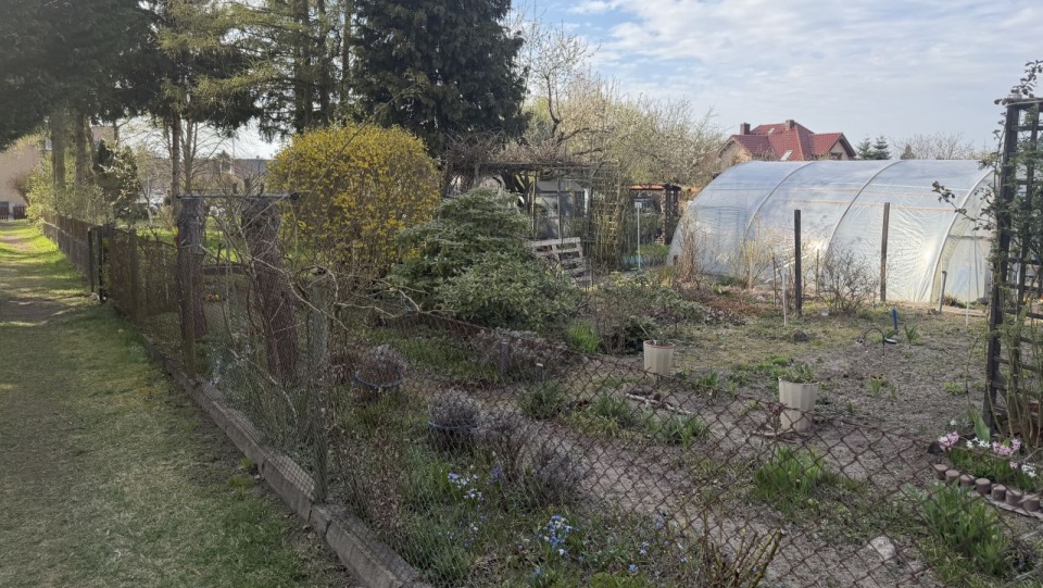 Fot. Krzysztof Cichocki [Radio Szczecin]