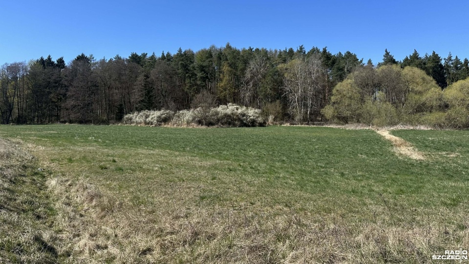Fot. Przemysław Polanin [Radio Szczecin]
