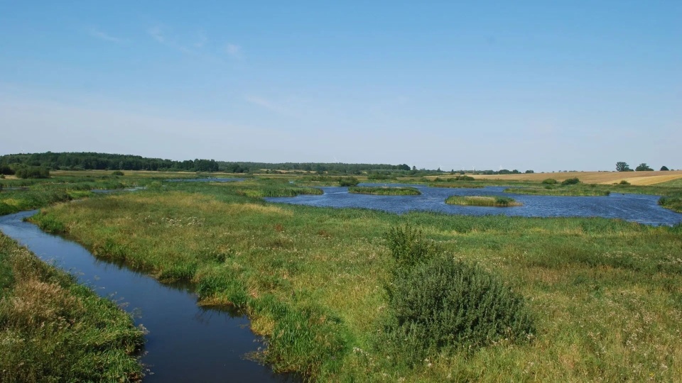 Fot. Pomorze Zachodnie