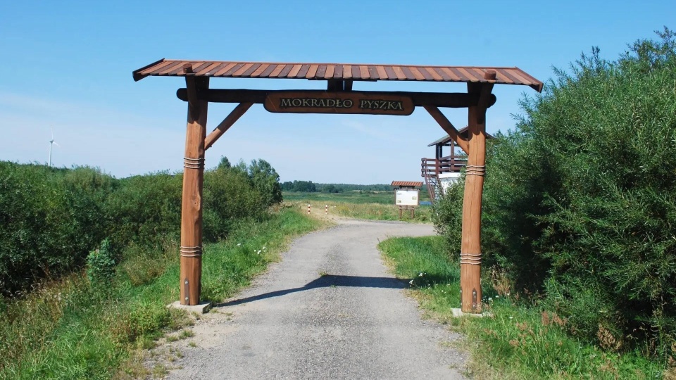 Są fundusze na remont na mokradłach Pyszka [ZDJĘCIA]