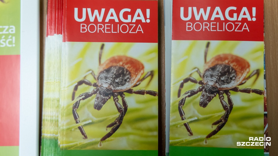 Sezon na kleszcze trwa. "Nie panikujmy, ale..."