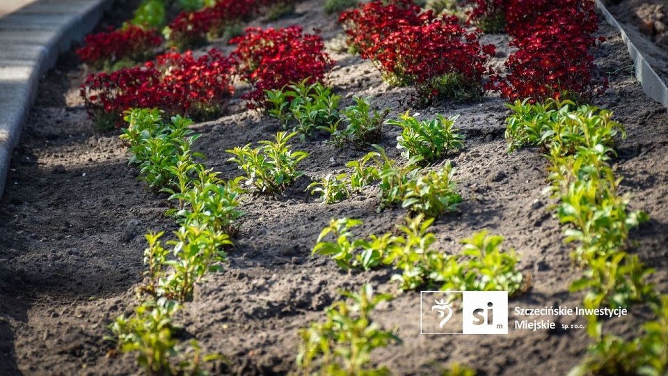 Fot. Szczecińskie Inwestycje Miejskie Sp. z o.o.