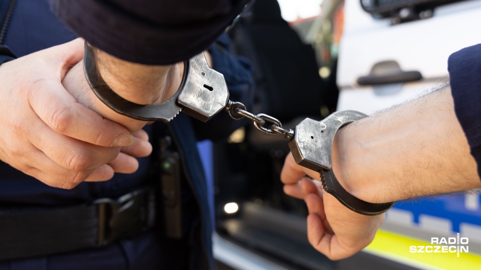 Znieważył policjantów, grozi mu powrót do kraju