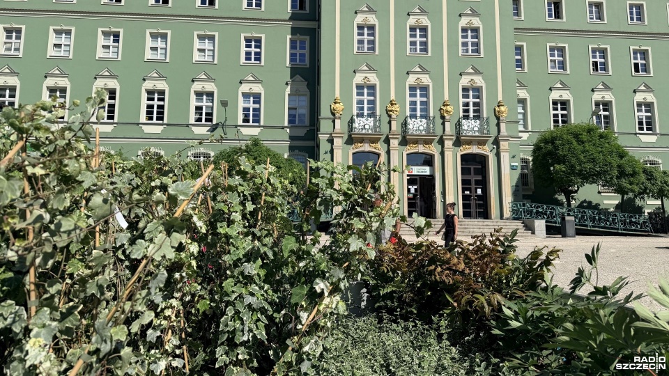 Przy Urzędzie Miasta będzie wielokolorowo. Trwają nasadzenia [ZDJĘCIA]