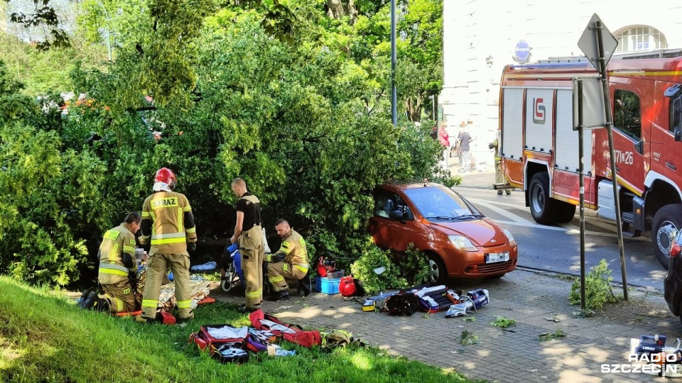 Kołobrzeg: drzewo przewróciło się na ludzi