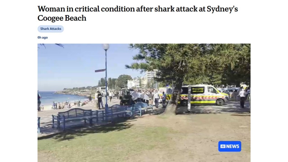 Szczęki. Reaktywacja w Australii